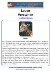 Giraffe - Sachtext.pdf